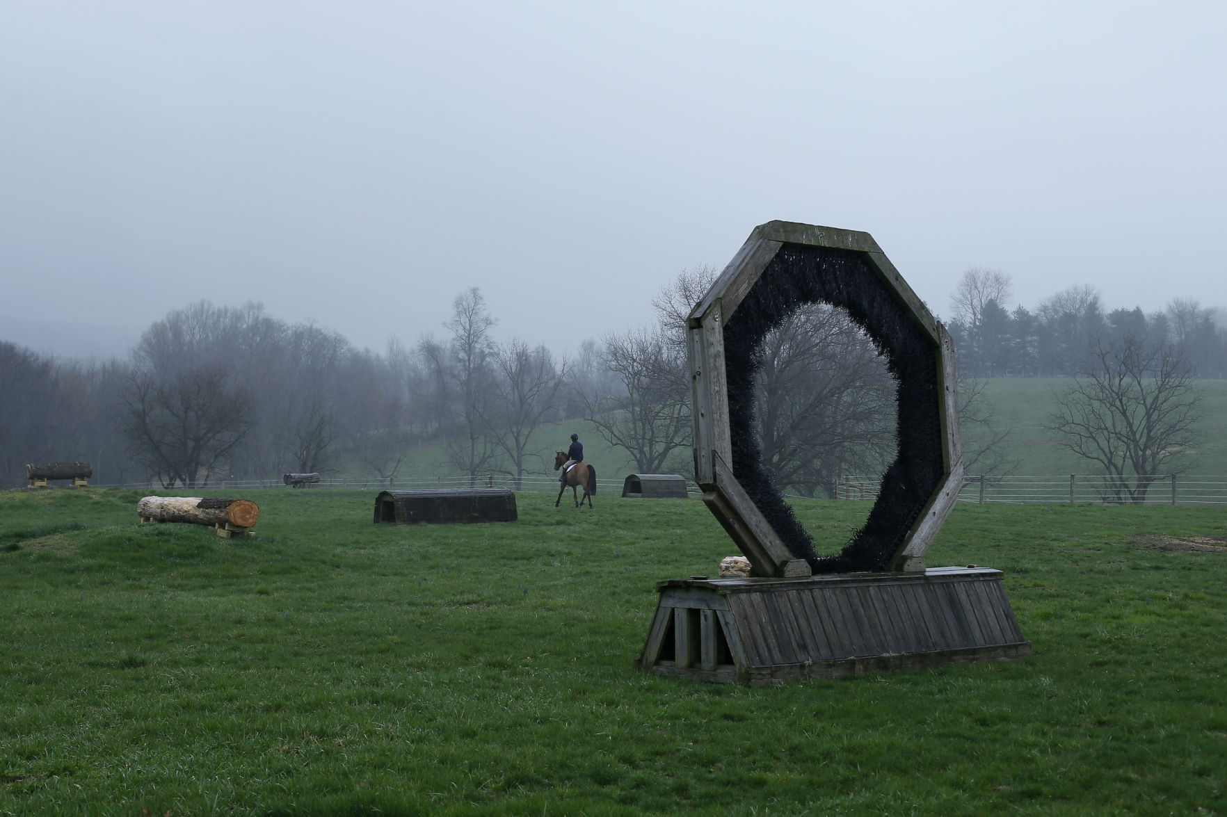 Virus Outbreak Olympic Equestrian Photo Gallery